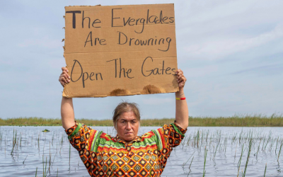 In the News: Osceola’s Quest for a Restored Everglades Ecosystem