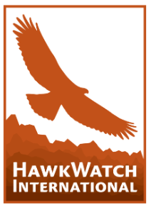 hawkwatch hawkwatch