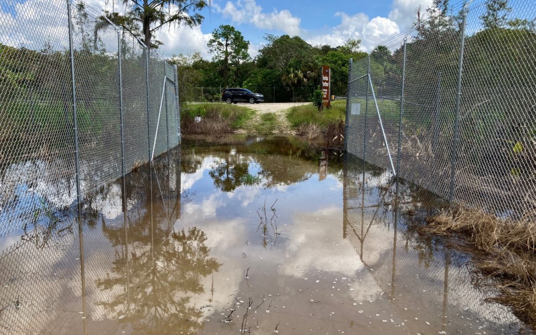 Entrance Enhancements Summer 2023