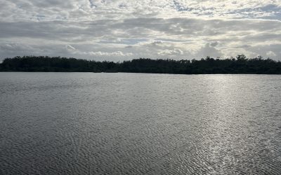 Fish stocking November, 2024