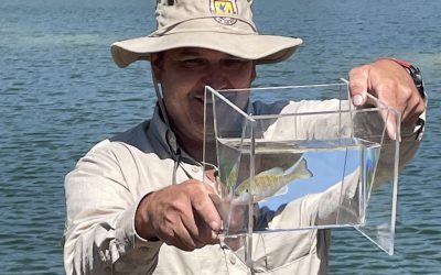 Electrofishing and Pond Assessment April 12, 2025