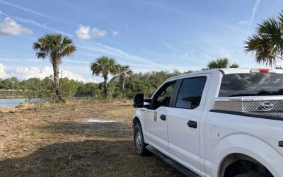 Mulching Project Feb 2025