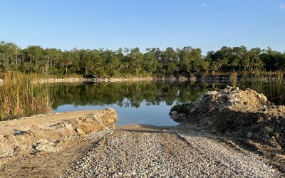 Littoral Zone Expansion