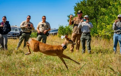 In the ‘Nick’ of time