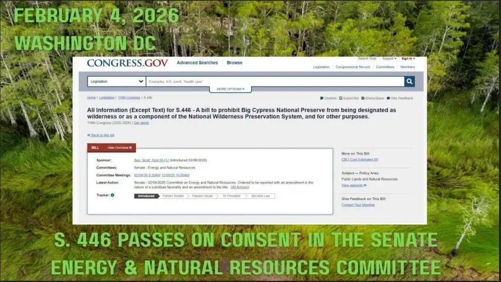 Slide showing S446 Passes Energy and Natural Resources committee prohibiting Big Cypress desgination as Wilderness 